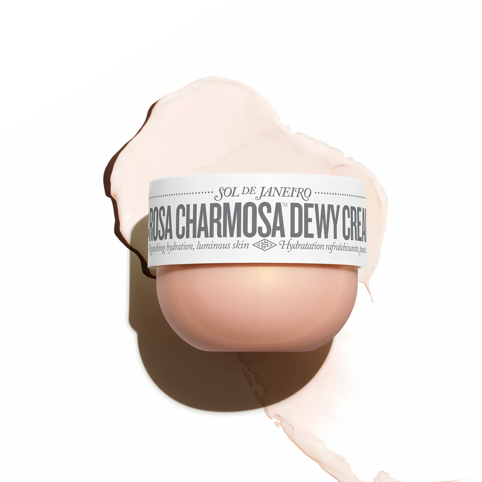 Rosa Charmosa  Dewy Cream