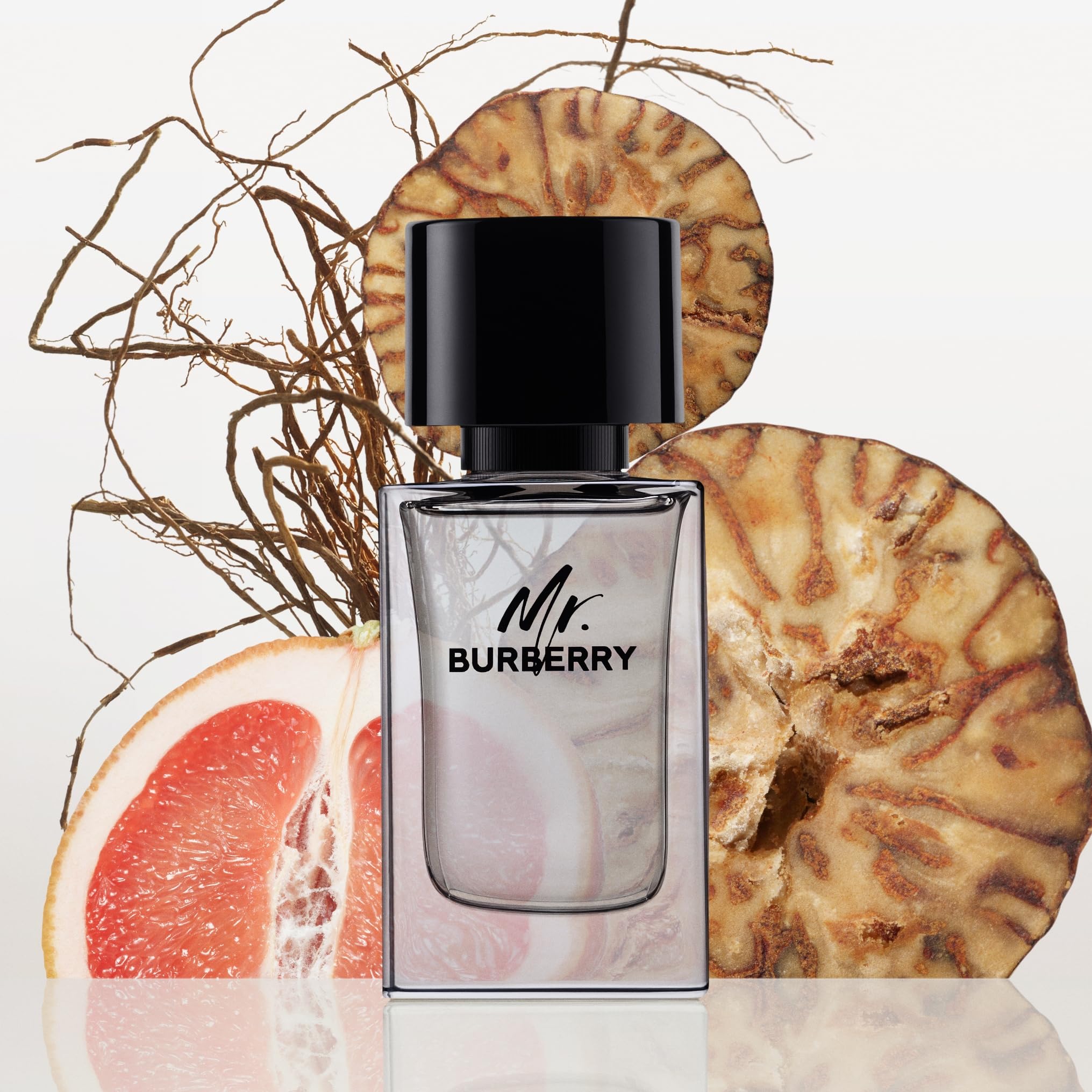 Mr. Burberry Eau de Toilette